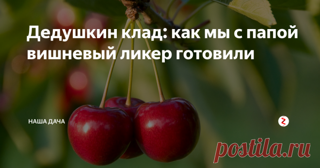 Дедушкин клад: как мы с папой вишневый ликер готовили А тут случилась у нас оказия – папа, лазая в подполе и подправляя канализационные трубы, нашел натуральный клад. В прямом смысле слова. Дедушка, Царствие ему Небесное, пережил бабушку на тридцать лет. В перестроечные 80-е и постперестроечные, голодные, он все переживал, что его «поминать будет нечем» - водка, да и вообще, спиртное, продавалась в то время по талонам. Вот дедушка и копил ее...