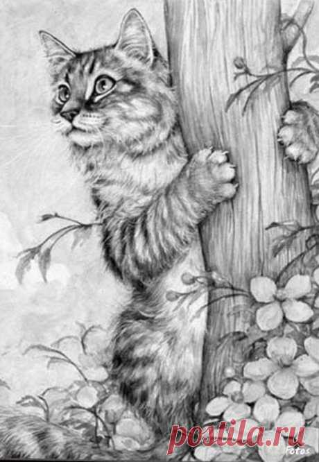 Pinterest: инструмент для поиска и хранения интересных идей