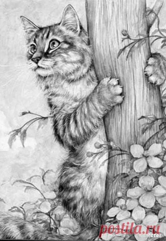 Pinterest: инструмент для поиска и хранения интересных идей