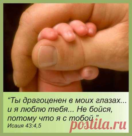 (1) Однокласники