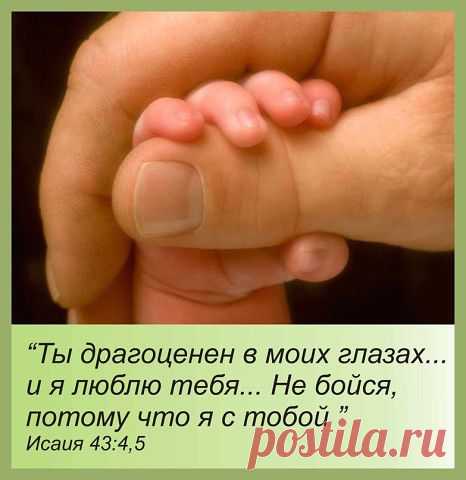 (1) Однокласники