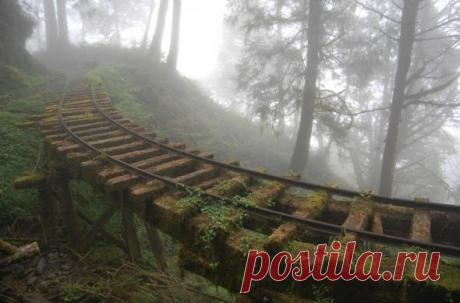 Мой Мир@Mail.Ru