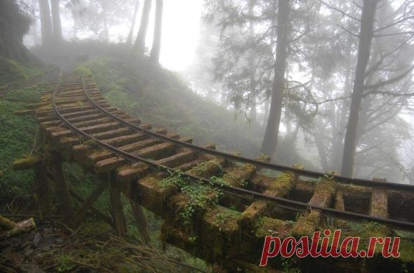 Мой Мир@Mail.Ru