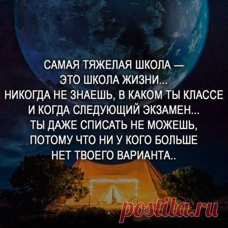 Без комментария