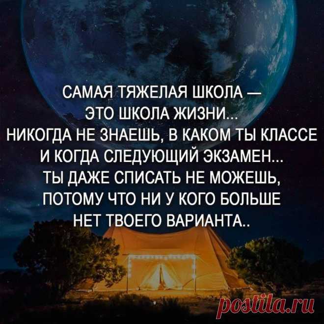 Без комментария