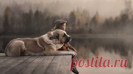 10 напоминаний взрослым от детей на снимках Елены Шумиловой, фотографии детей