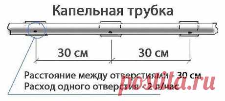 (11) Одноклассники