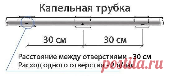 (11) Одноклассники