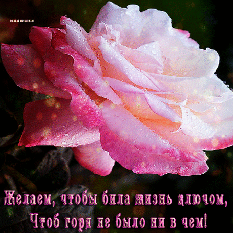 Мой Мир@Mail.Ru