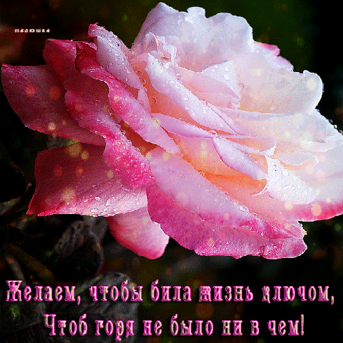Мой Мир@Mail.Ru