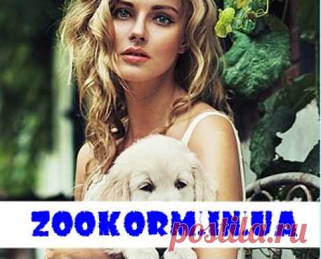 ZOOKORM.IN.UA =[Корма и товары для животных]=