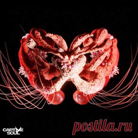 Download Olivier Giacomotto, Fur Coat - Show Me The Echo Label Captive Soul Styles Melodic House & Techno Date 2025-03-14 Catalog # CS005E Length 5:52 Tracks 1