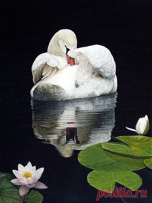 Художник Richard Mravik..