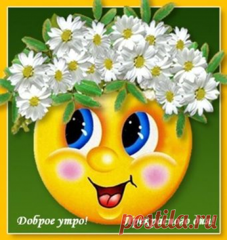 живые открытки с добрым утром - Поиск в Google