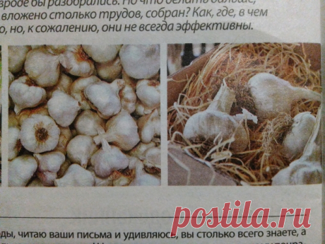В белковом растворе - Садоводка