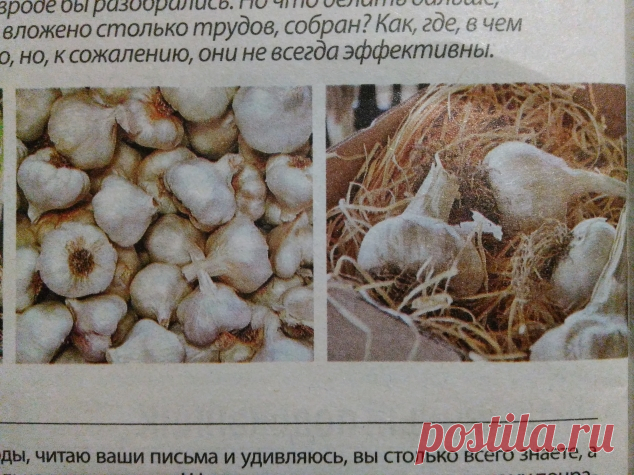 В белковом растворе - Садоводка