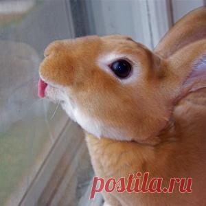 Столичный зампрокурора выкурил две сигареты и умер