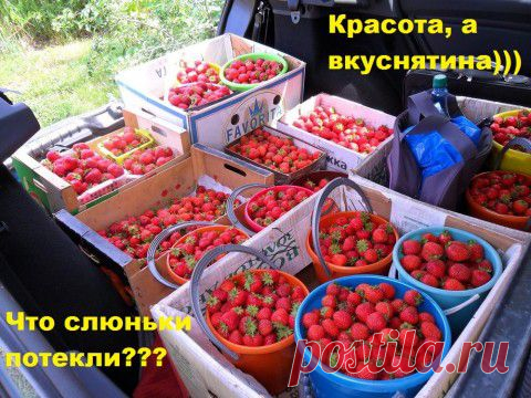 Закатай лето на зиму 1 | Юмор 37 регион