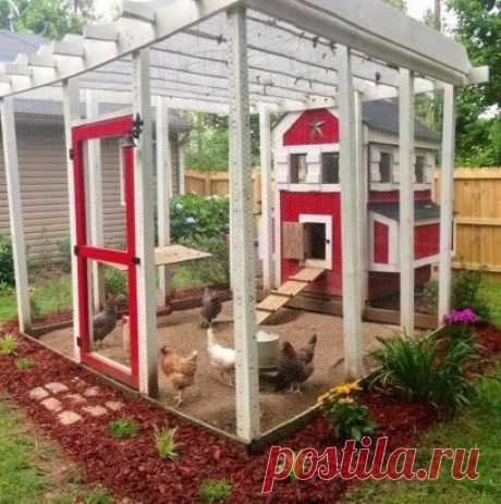 ВИП курятник))