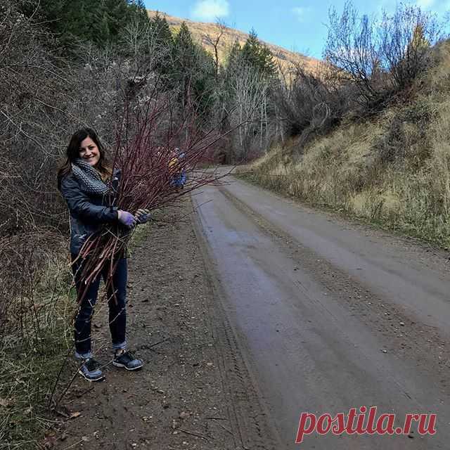Spent the morning in the hills gathering all kinds of goodies! We even ran into a little snow! 😃❄️🌲