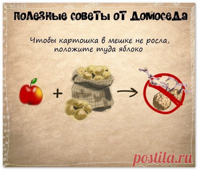 Фотографии на стене сообщества | 32 935 фотографий