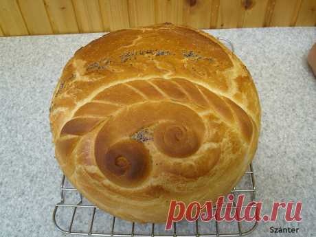 https://szanter.blogspot.hu/
