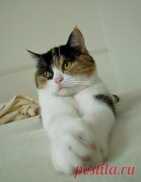 I Love You This Much!