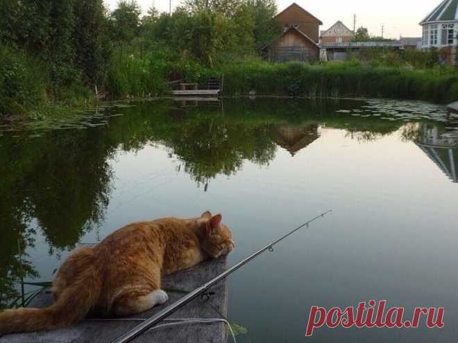 (9) Facebook