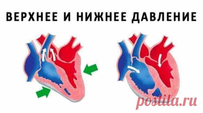 Разница между верхним и нижним давлением – все, что нужно знать — Турба-Урба