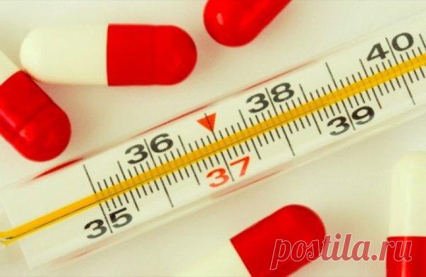 7 полезных способов применения камфорного спирта | весело живем на 30K | Яндекс Дзен