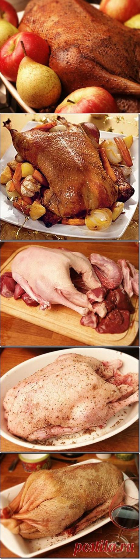 Как правильно запечь пасхальную утку с яблоками | ПолонСил.ру - социальная сеть здоровья