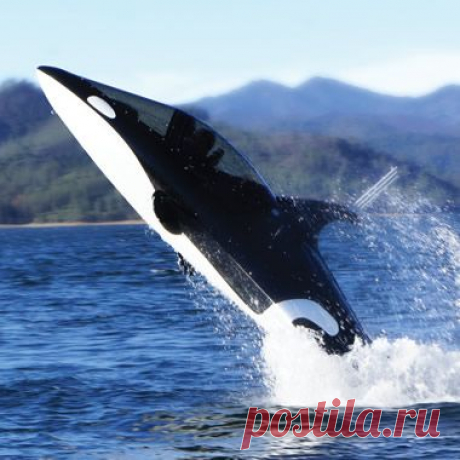 The Killer Whale Submarine - Hammacher Schlemmer