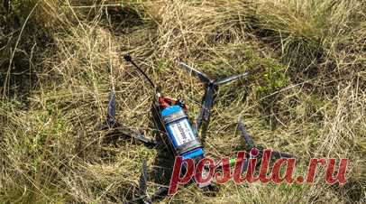 Старовойт: пограничники посадили разведывательный дрон ВСУ в Рыльском районе. Губернатор Курской области Роман Старовойт сообщил, что российские пограничники при помощи антидронового ружья посадили разведывательный коптер Вооружённых сил Украины в Рыльском районе. Читать далее