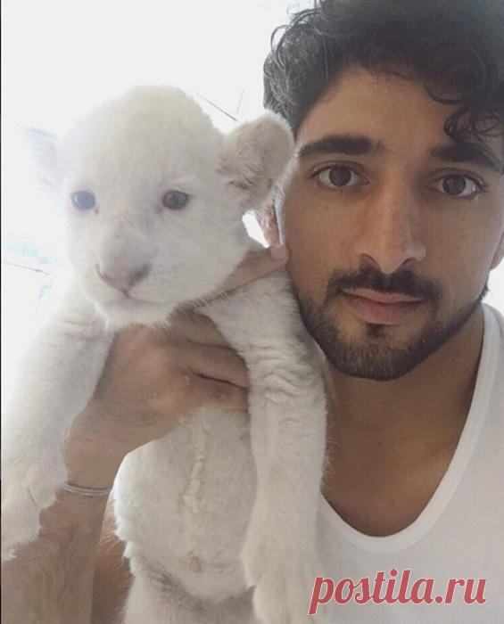 Красиво жить не запретишь: сказочная жизнь наследного принца Дубая