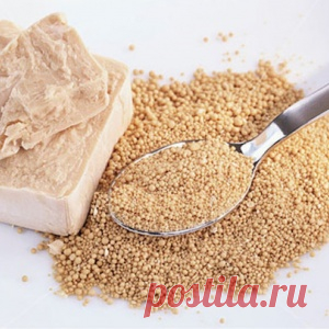 Дрожжевые рецепты: что можно подкармливать дрожжами