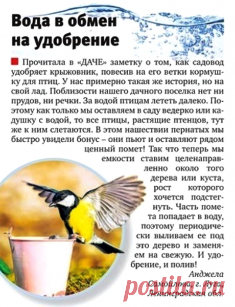 Вода в обмен на удобрение