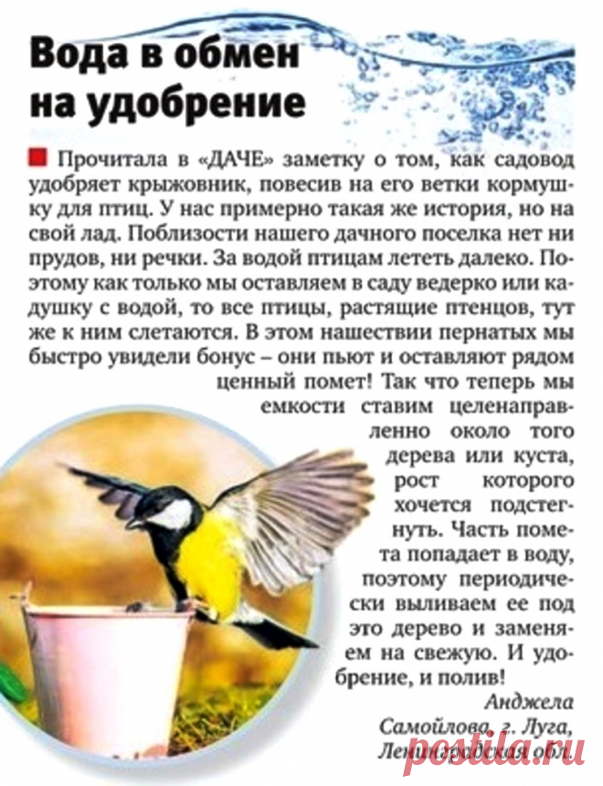 Вода в обмен на удобрение