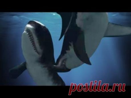 МЕГАЛОДОН ПРОТИВ КУСАЮЩЕГО КАШАЛОТА