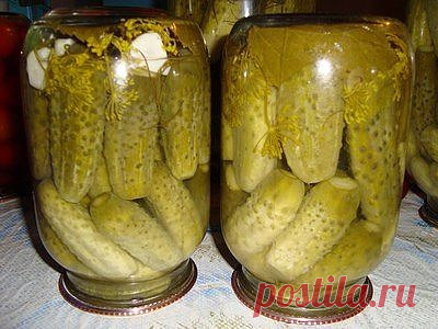 Одноклассники