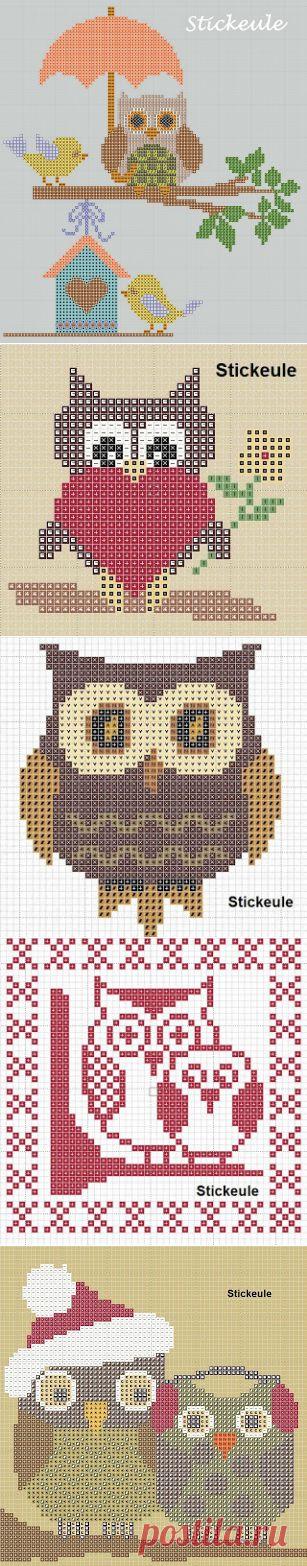 Совушки .Много.