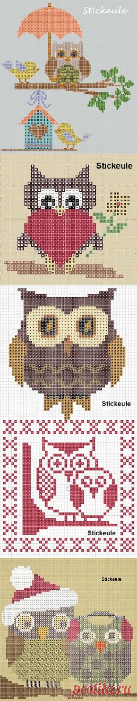 Совушки .Много.