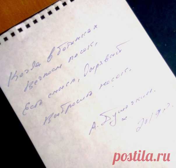 Андрей Душечкин