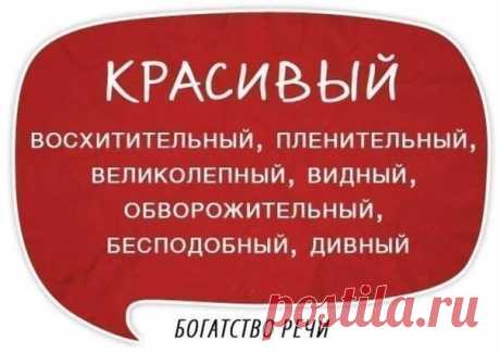 (3) Кирилл Лейцихович