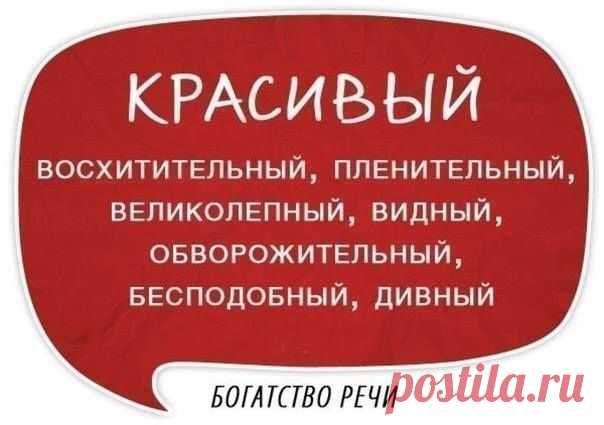 (3) Кирилл Лейцихович