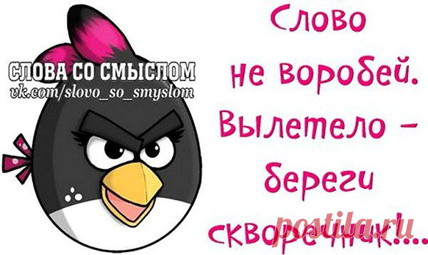 Интересные новости