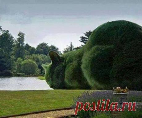 (24) Facebook