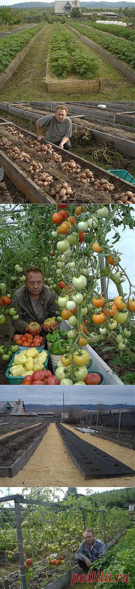 Одноклассники