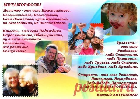 Стихотворение Евгения Евтушенко о четырёх возрастах человека.