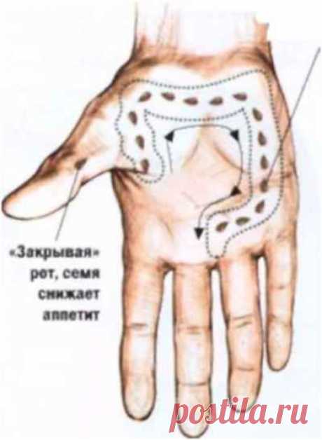 | Записи с меткой | Дневник InessK