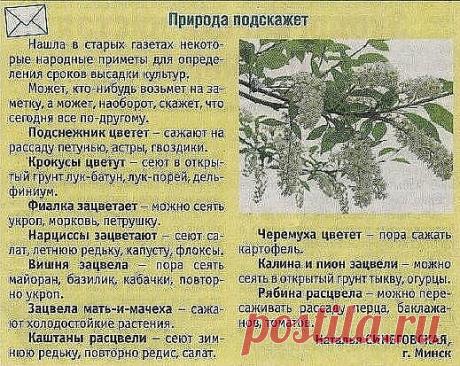 Природные подсказки.